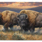 Dusty Plains - Bison - 2' x 4' Floor Mat