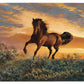 Fire in the Sky - 2' x 3' Floor Mat