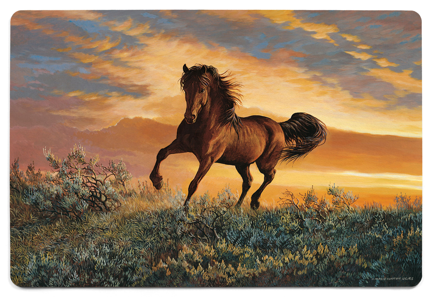 Fire in the Sky - 2' x 3' Floor Mat