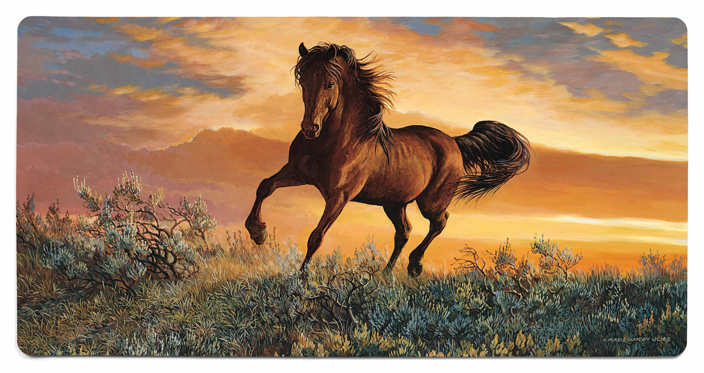 Fire in the Sky - 2' x 4' Floor Mat