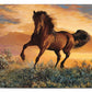 Fire in the Sky - 2' x 4' Floor Mat