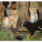 Hole in the Wall Gang - Kittens - 2' x 3' Floor Mat