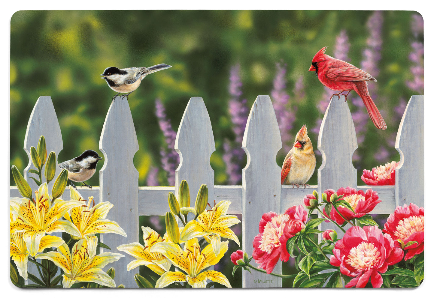 Picket Fence - Songbirds - 2' x 3' Floor Mat