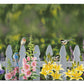 Picket Fence - Songbirds - 2' x 4' Floor Mat