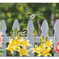 Picket Fence - Songbirds - 2' x 4' Floor Mat