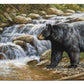 Shadow of the Forest - Black Bear - 2' x 4' Floor Mat