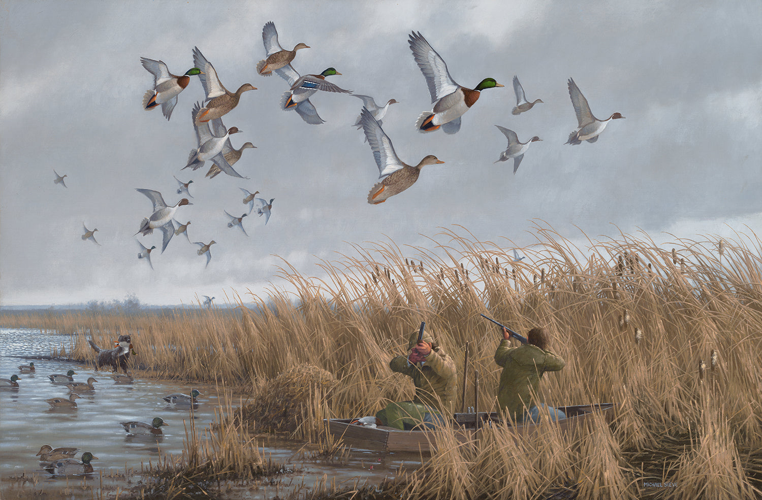 129438_1780477001_inset_MallPintails.jpg