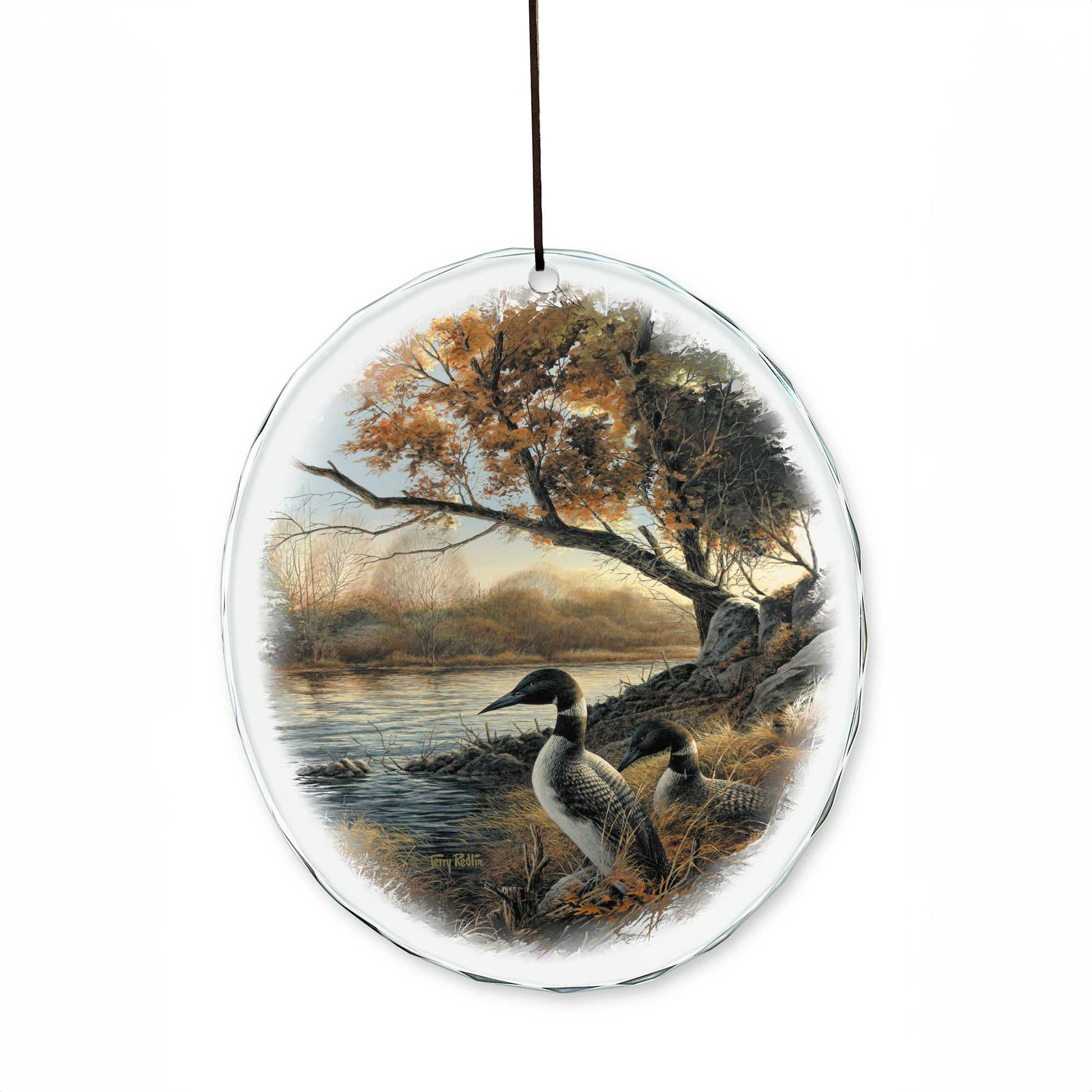 134973_10310_RED10203_Suncatcher_MU.jpeg