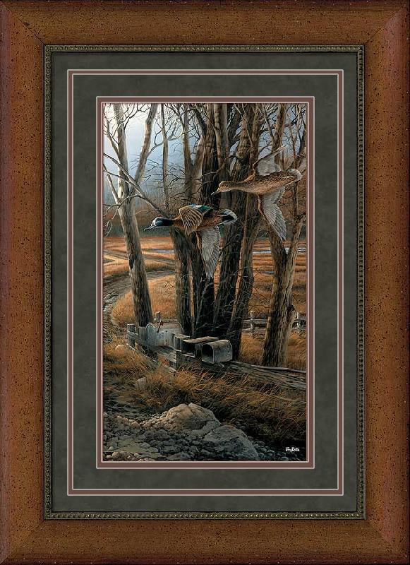 Rural Route—Blue—winged Teal - Pinnacle Print