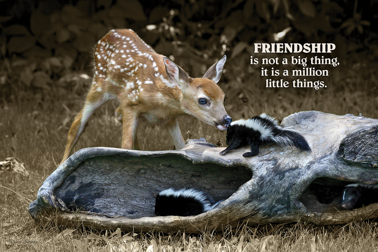 Friends Fawn Skunk - 12" x 18" Wood Sign