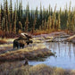 Lightscape-Moose - 24" x 36" Framed Gallery Canvas