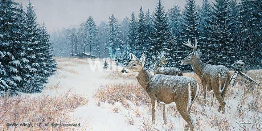 1423653065d_de8bd191-8852-4f5e-becf-a73f5a3466af.jpg