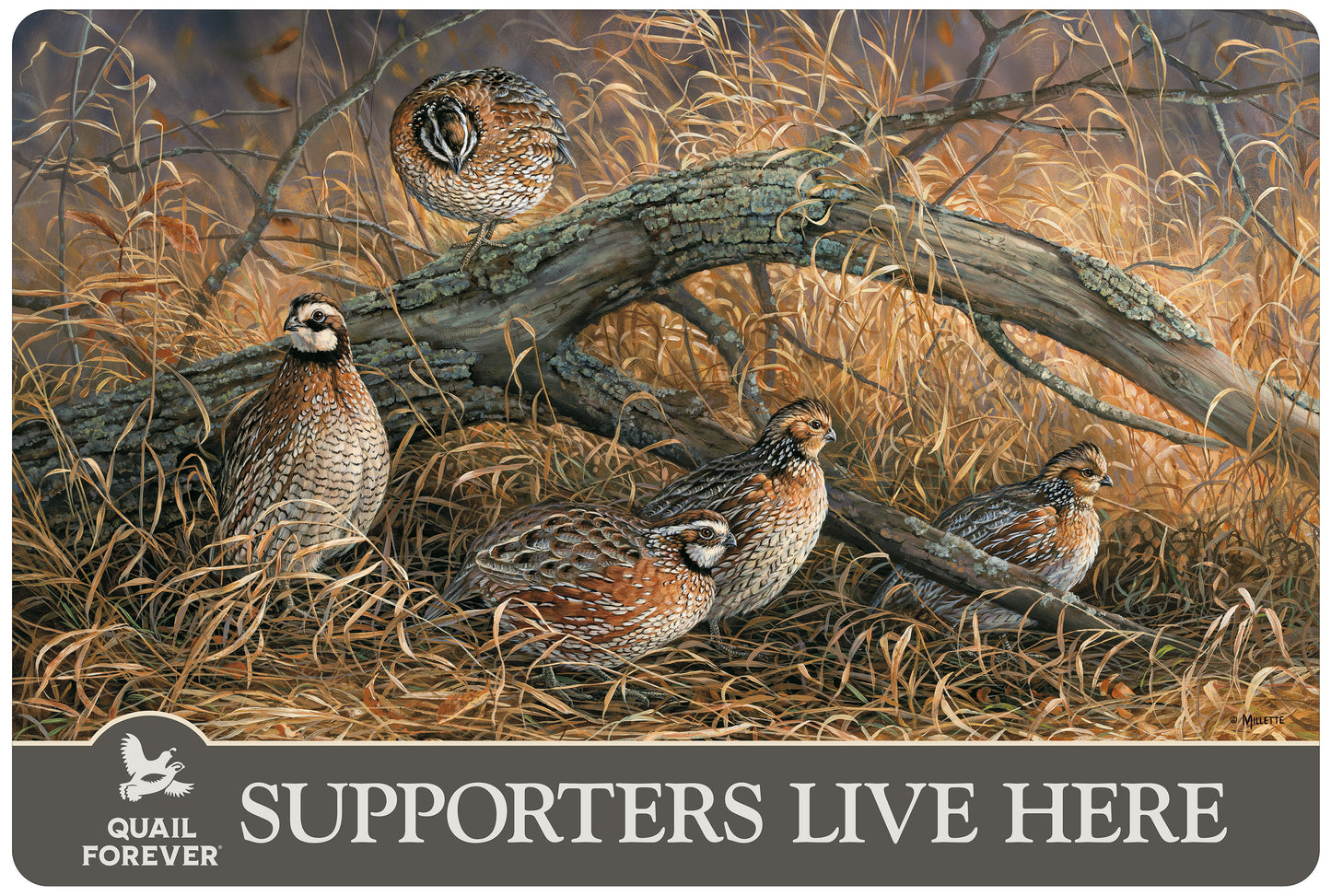 Hideaway - Bobwhite Quail - 2' x 3' Floor Mat