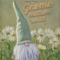 Be Kind Gnome Matter What - 18" x 12" Wood Sign