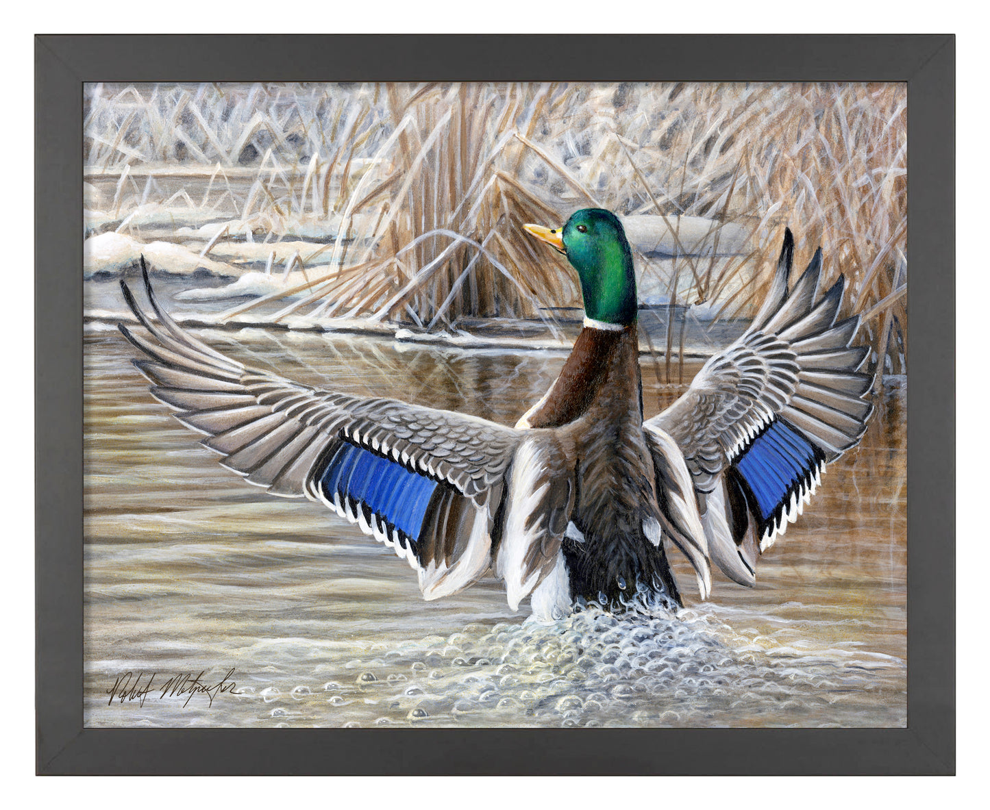 Cold Stretch - Art Prints
