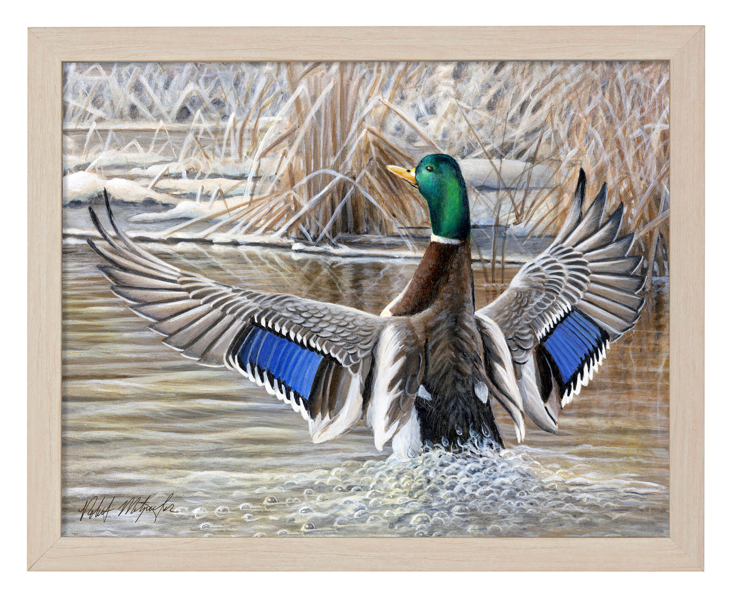 Cold Stretch - Art Prints