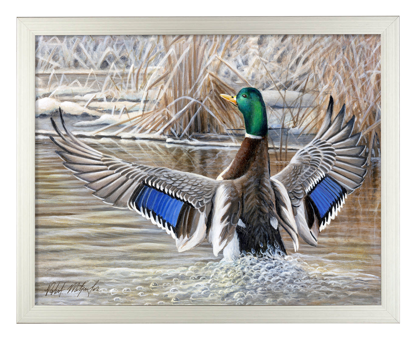 Cold Stretch - Art Prints