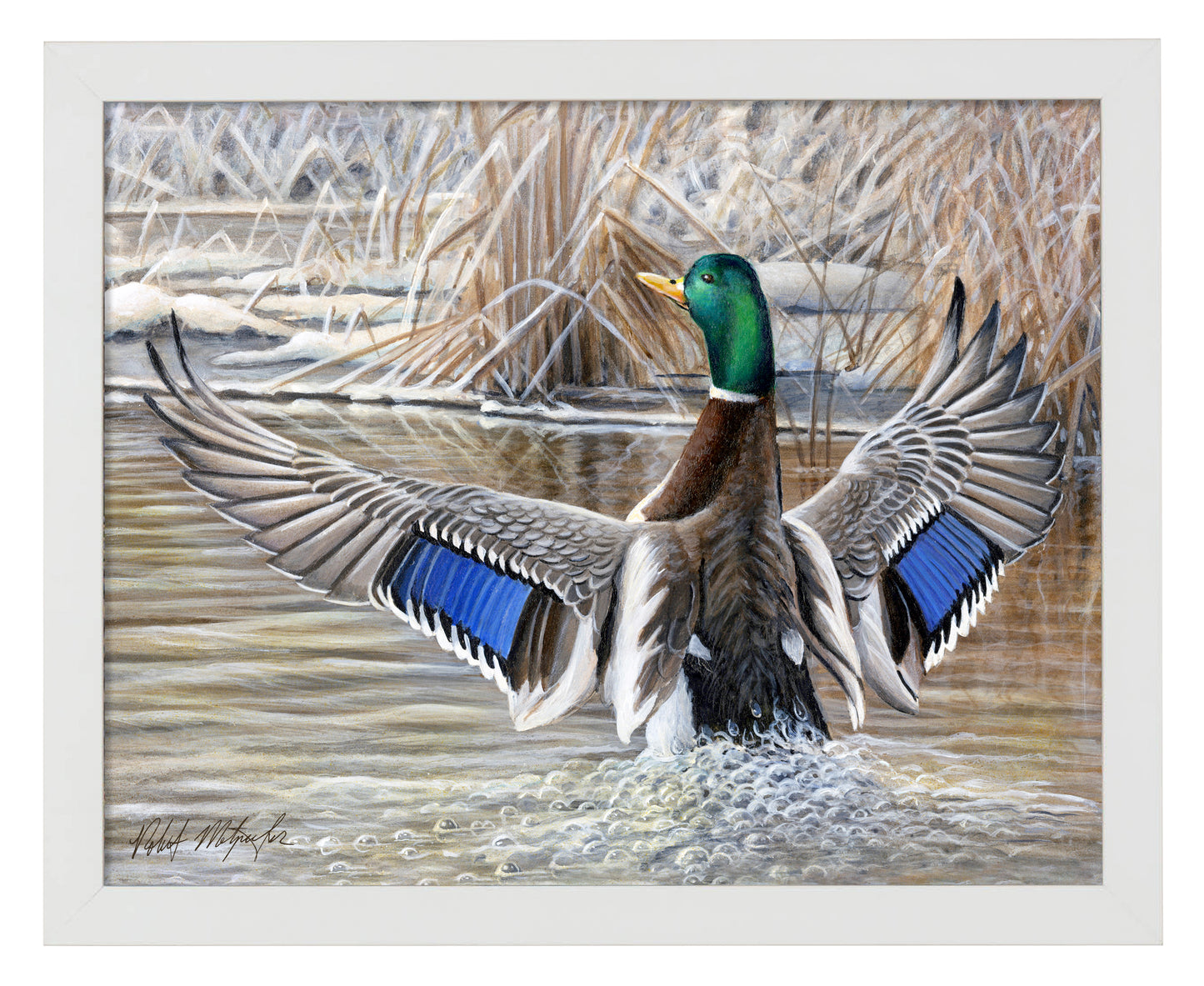 Cold Stretch - Art Prints