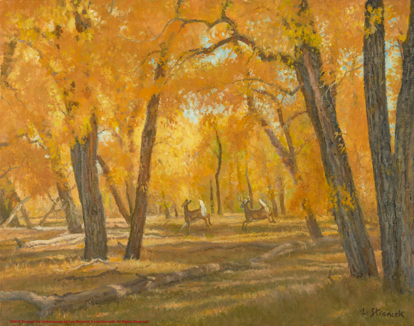 Through the Cottonwoods - Art Prints