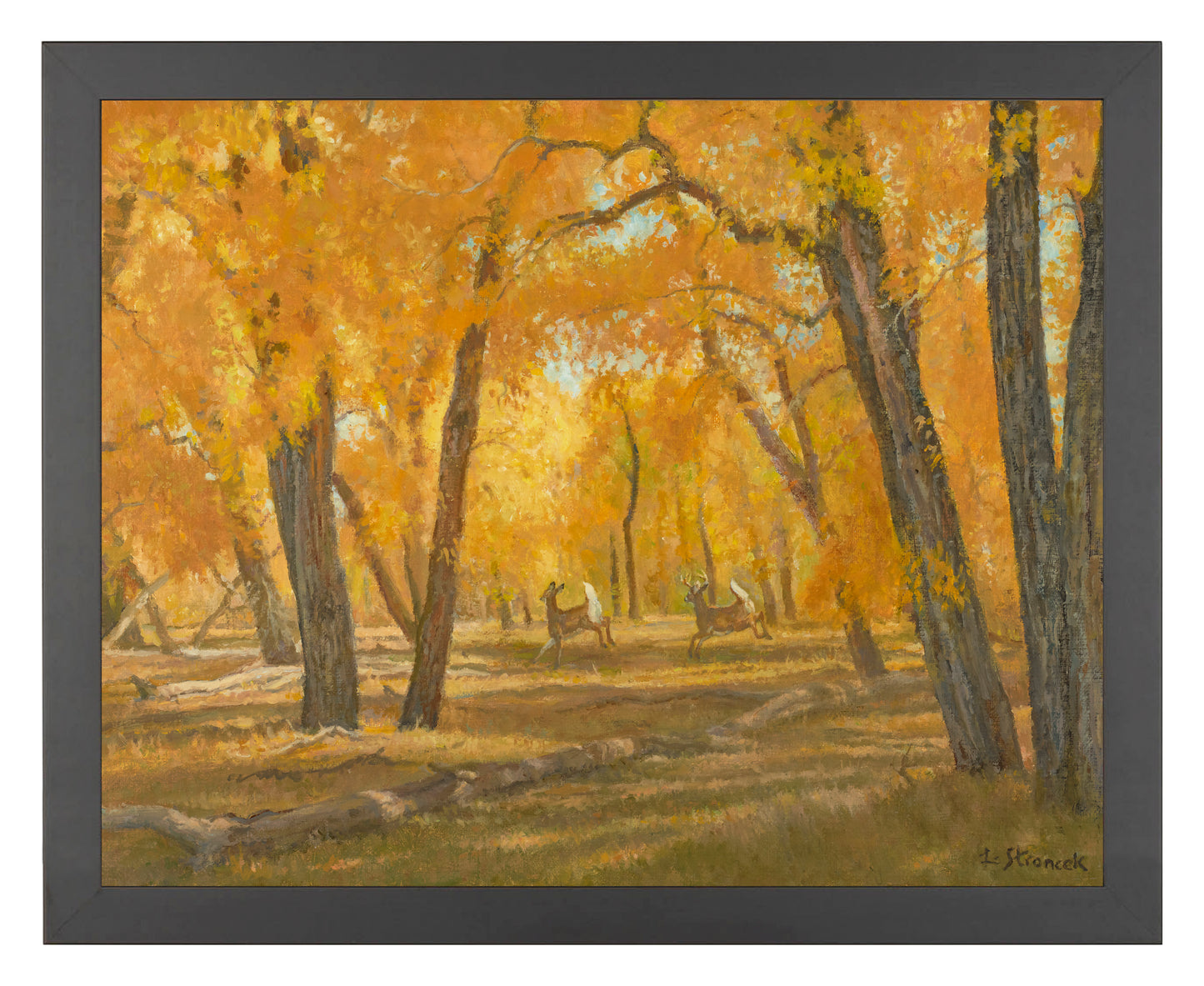Through the Cottonwoods - Art Prints