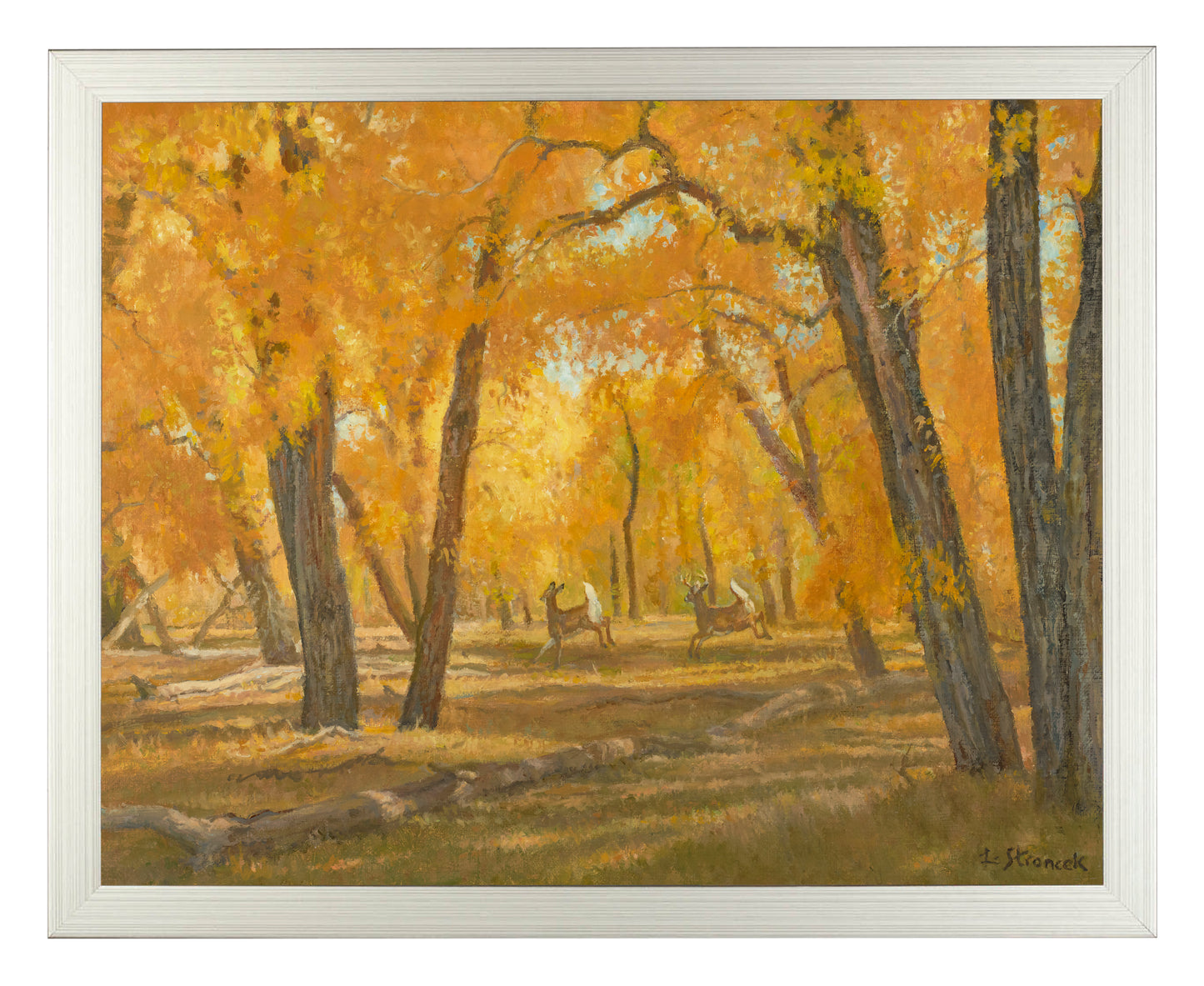 Through the Cottonwoods - Art Prints
