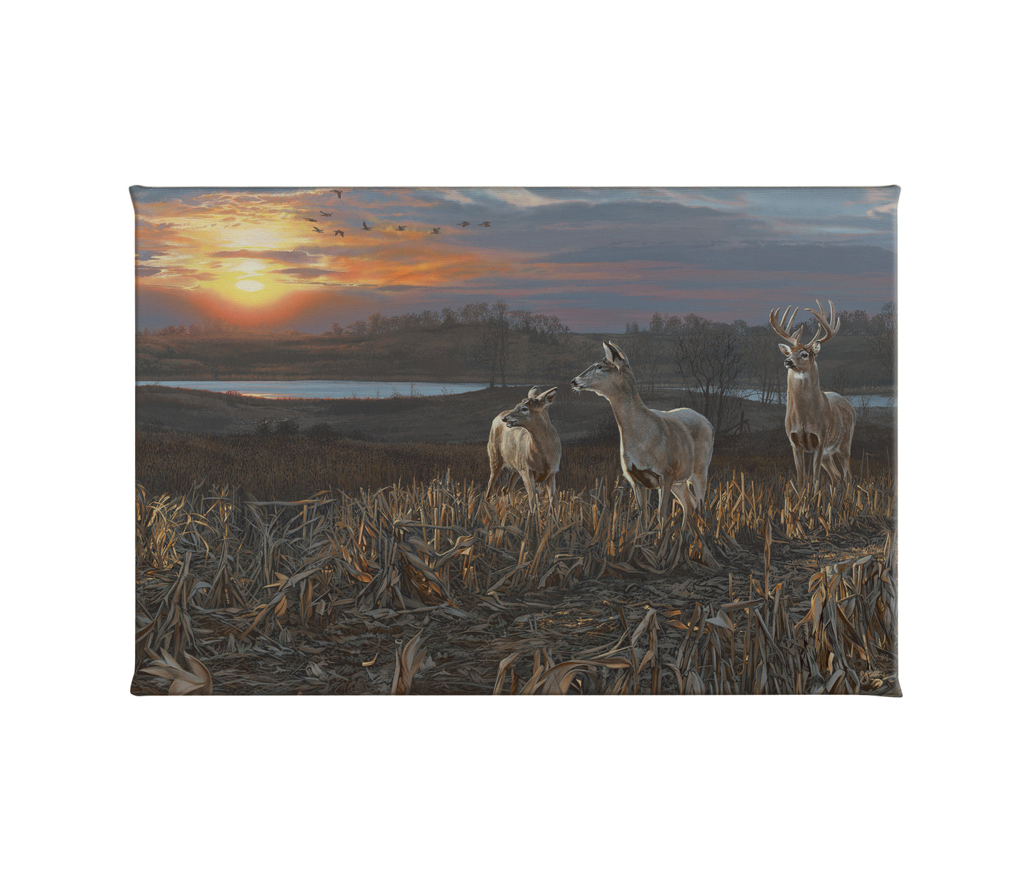 Evening Glow - 24" x 36" Gallery Wrapped Canvas