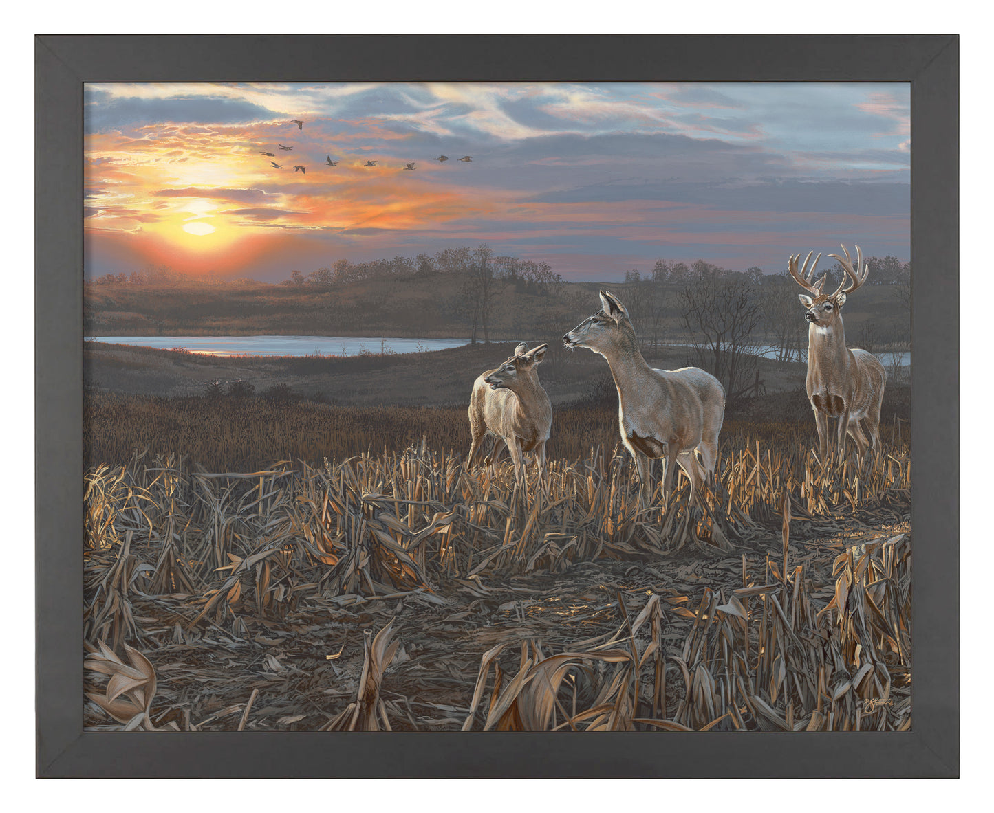 Evening Glow - Art Prints