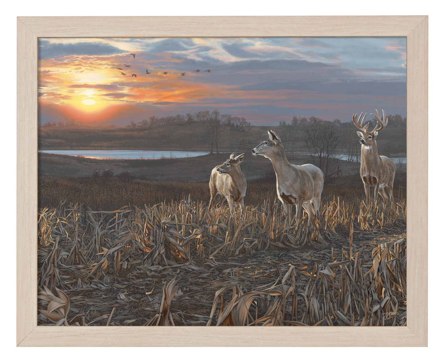 Evening Glow - Art Prints