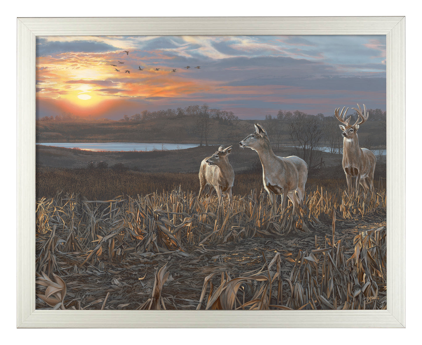 Evening Glow - Art Prints