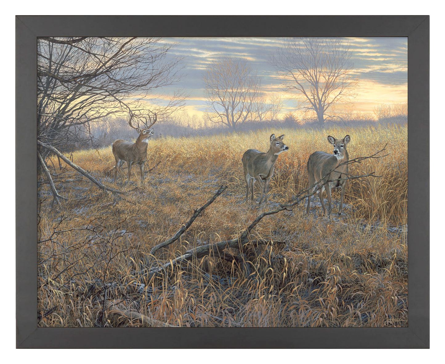 Scrapeline Monarch - Art Prints