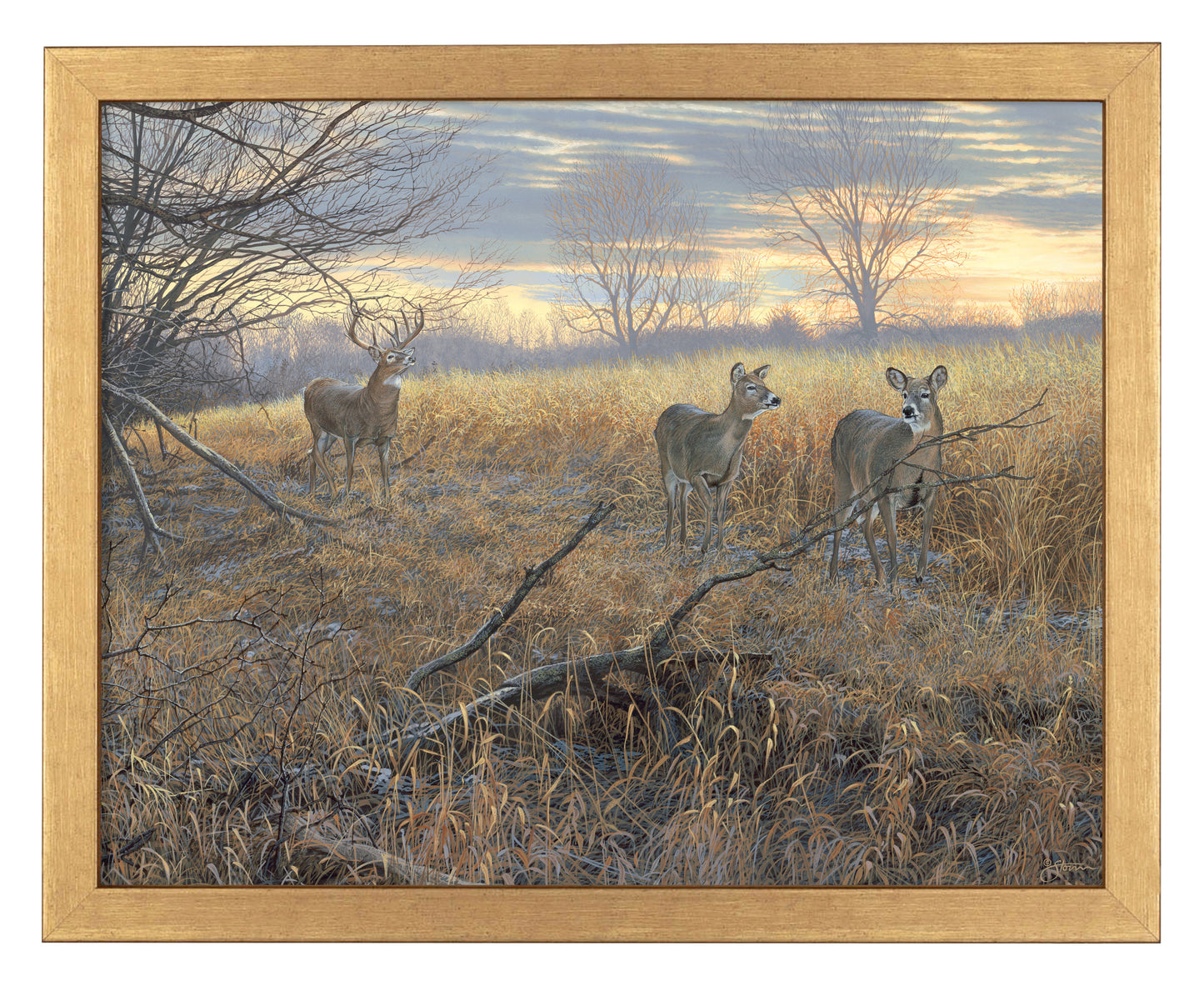 Scrapeline Monarch - Art Prints