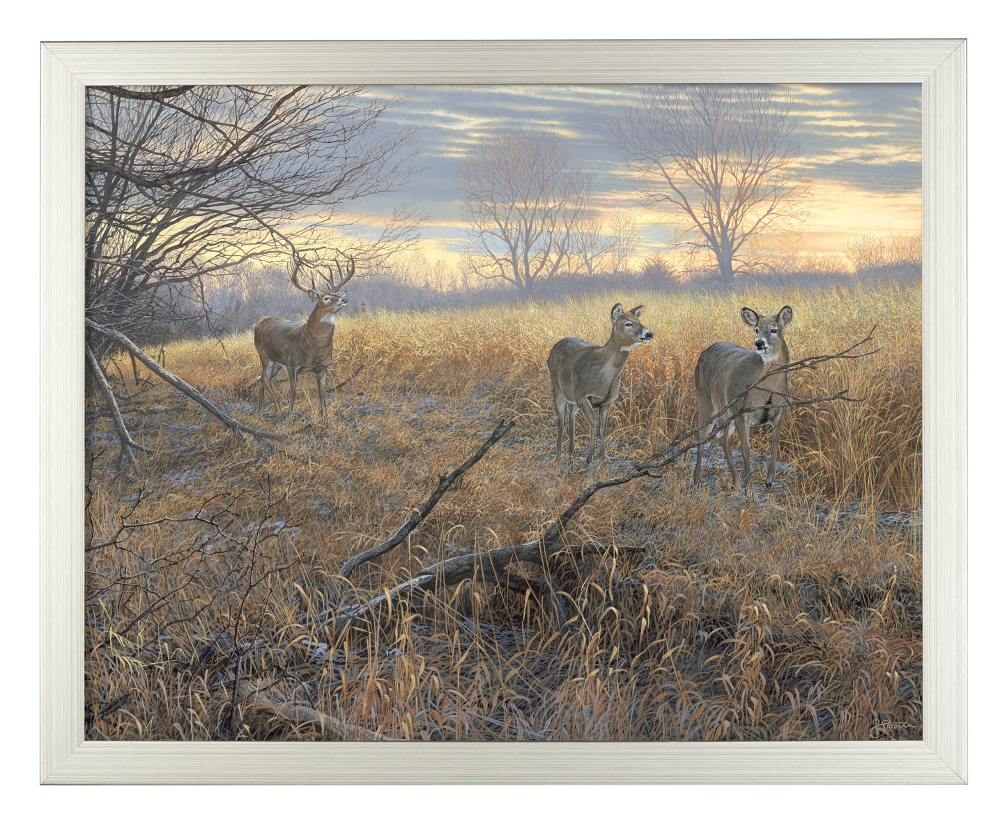 Scrapeline Monarch - Art Prints