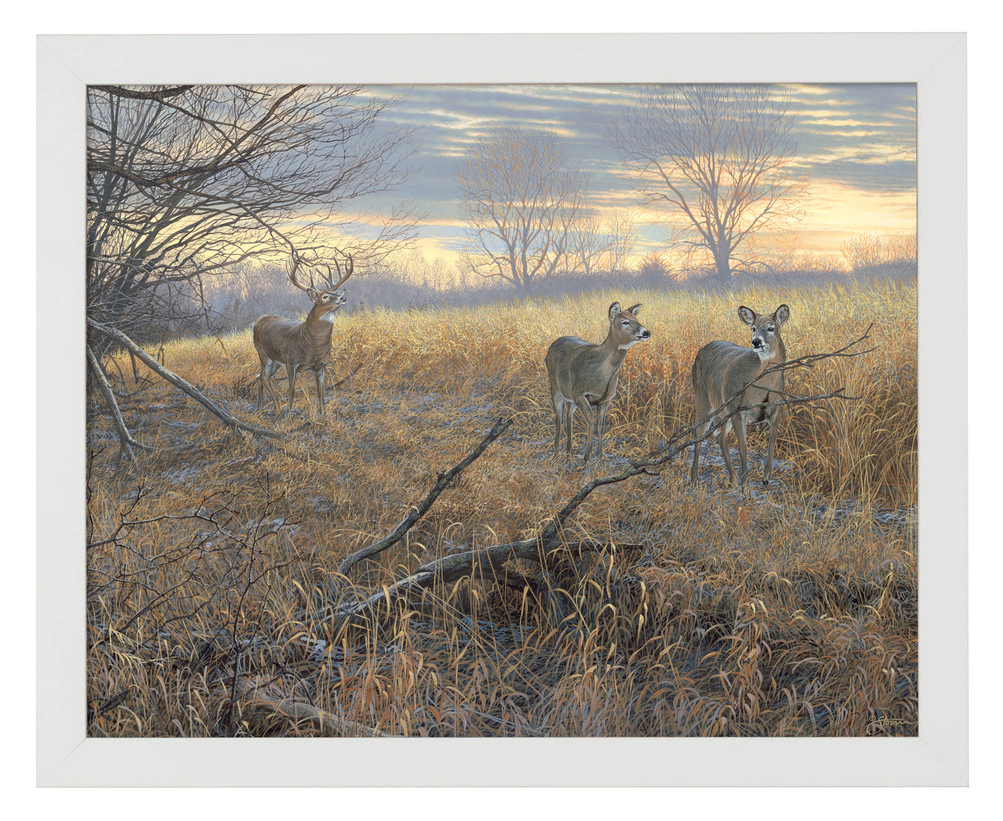 Scrapeline Monarch - Art Prints