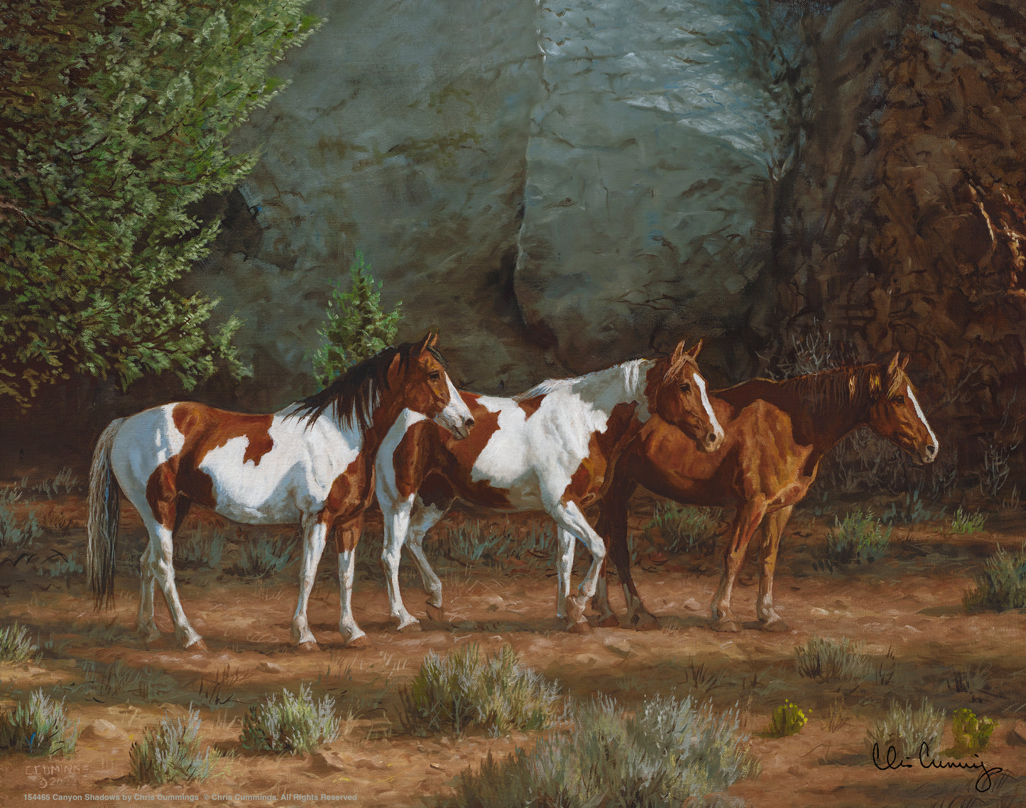 Canyon Shadows - Art Prints