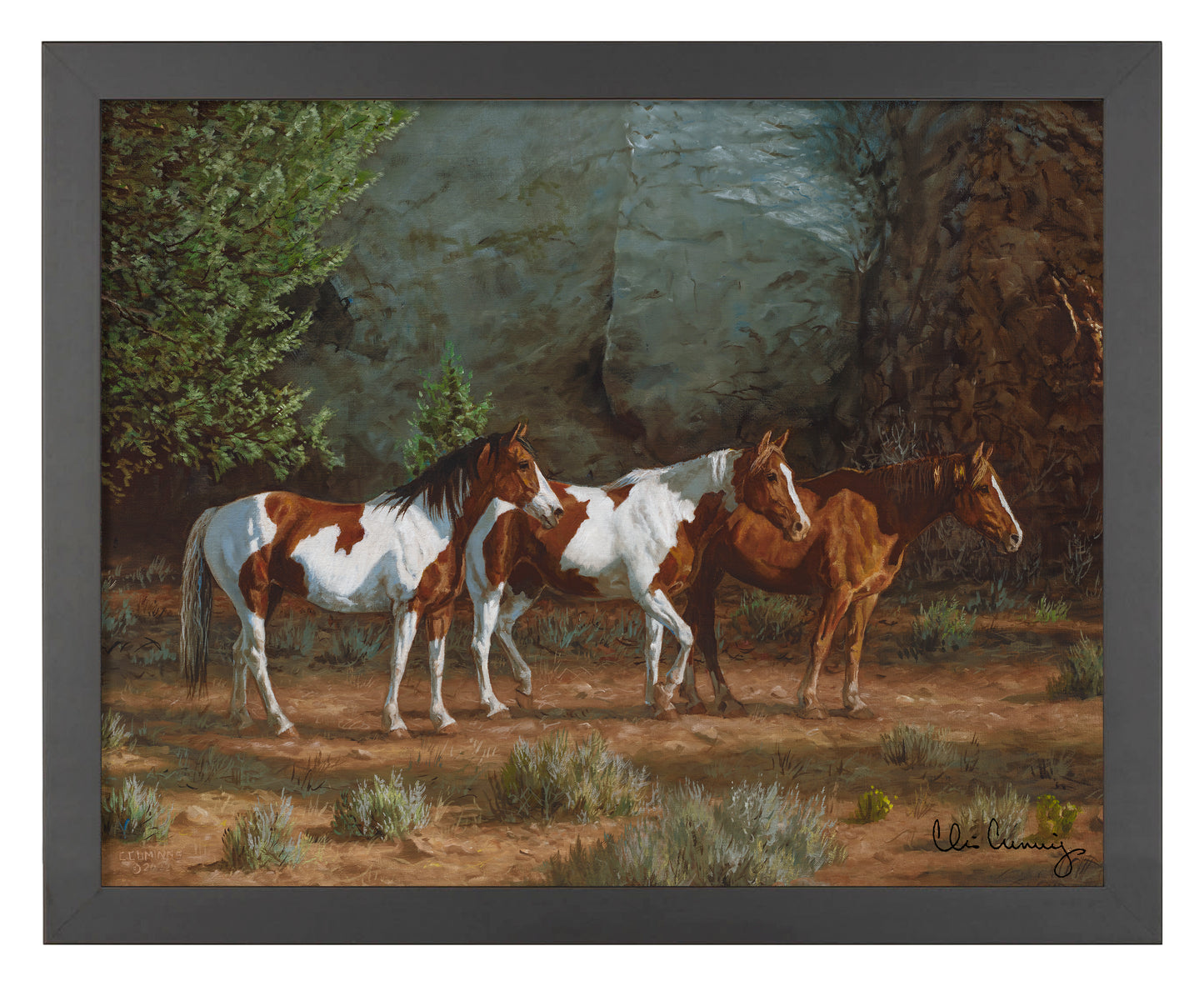 Canyon Shadows - Art Prints