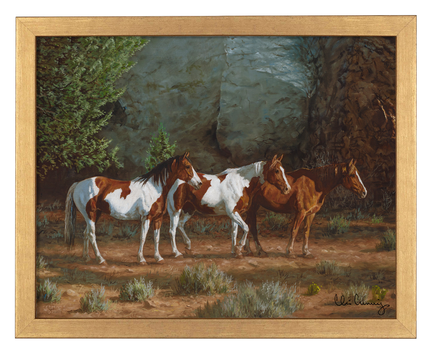Canyon Shadows - Art Prints