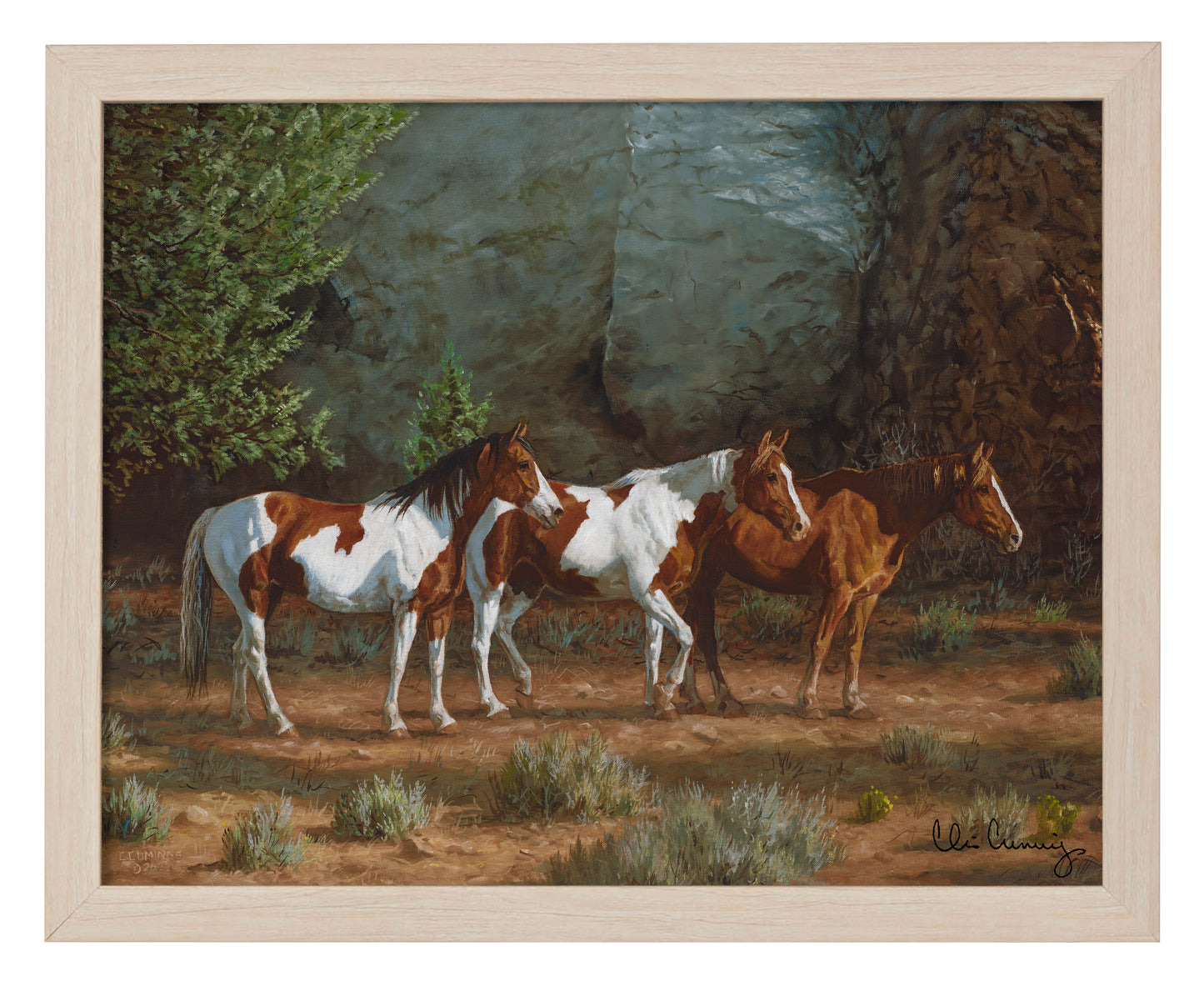 Canyon Shadows - Art Prints