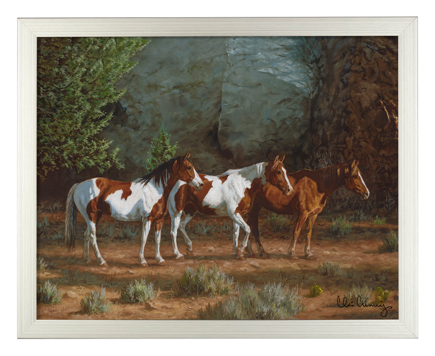 Canyon Shadows - Art Prints