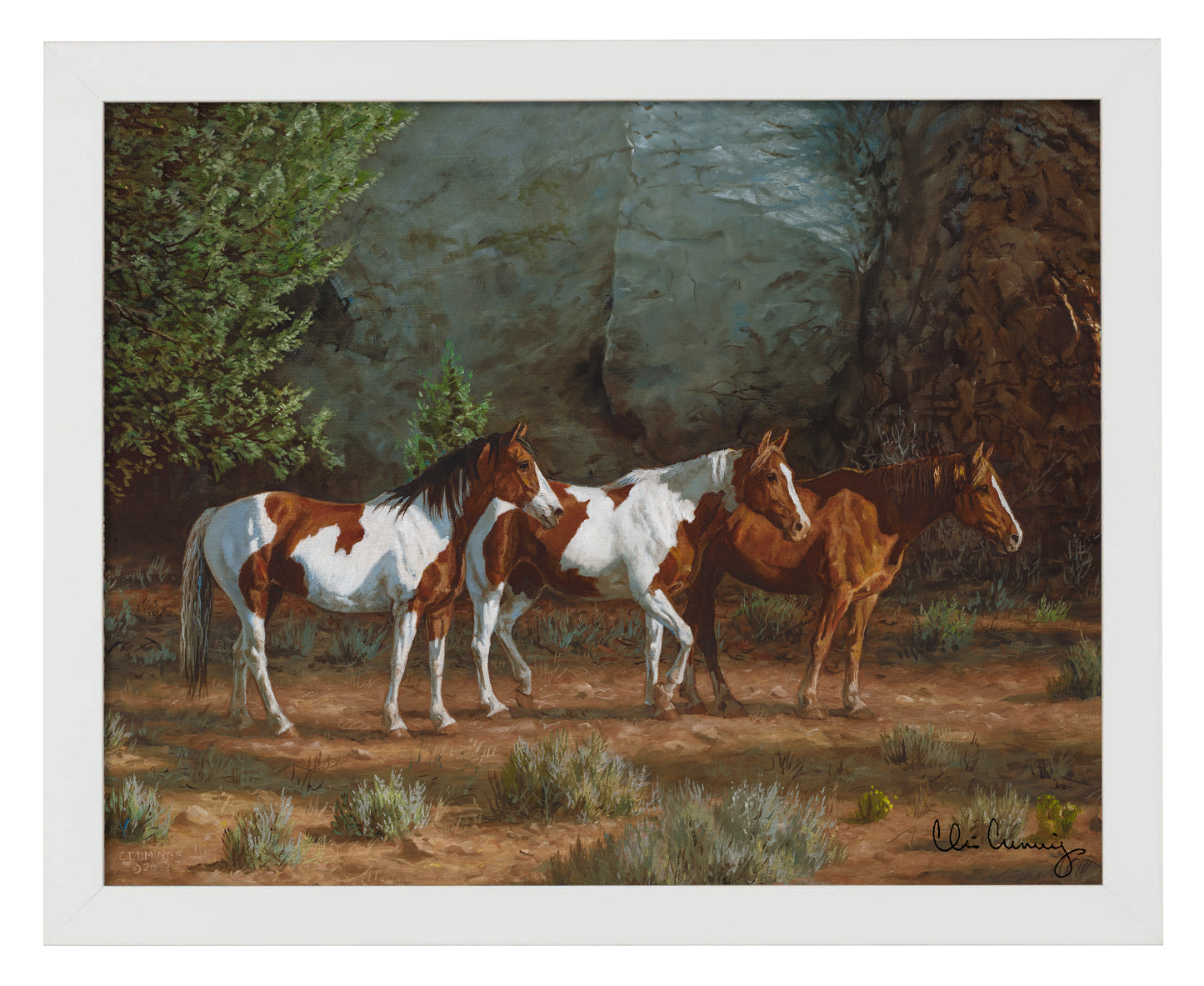 Canyon Shadows - Art Prints