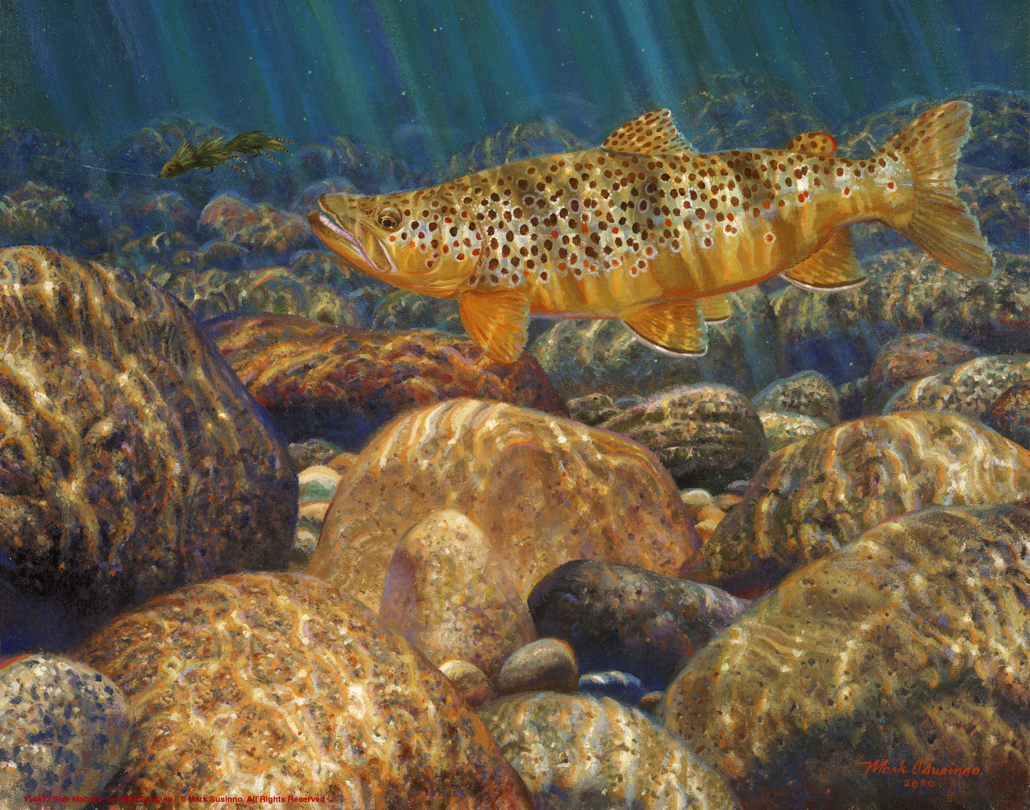 Size Matters - Art Prints
