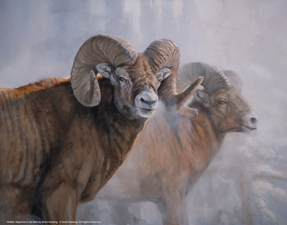 Bighorns in the Mist - Art Prints