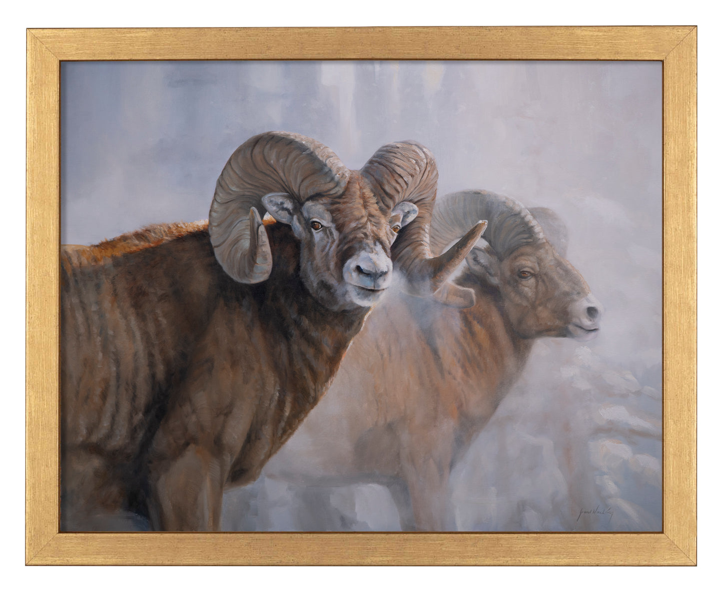Bighorns in the Mist - Art Prints