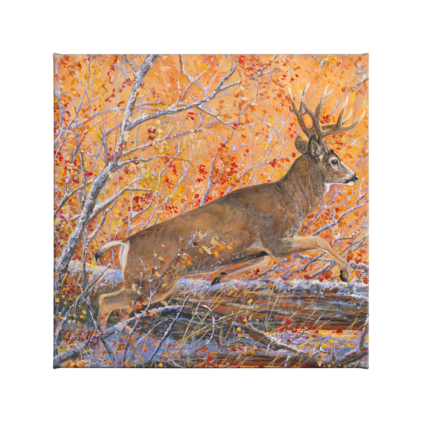 Bustin Cover - 14" x 14" Gallery Wrapped Canvas