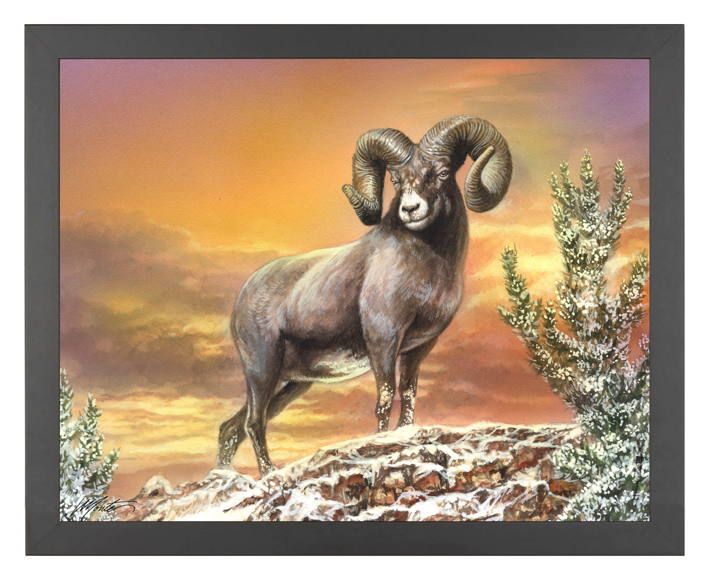 Above the Treetops - Art Prints