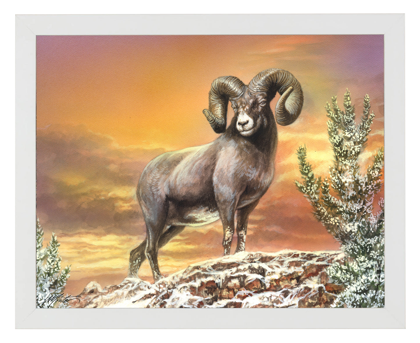 Above the Treetops - Art Prints
