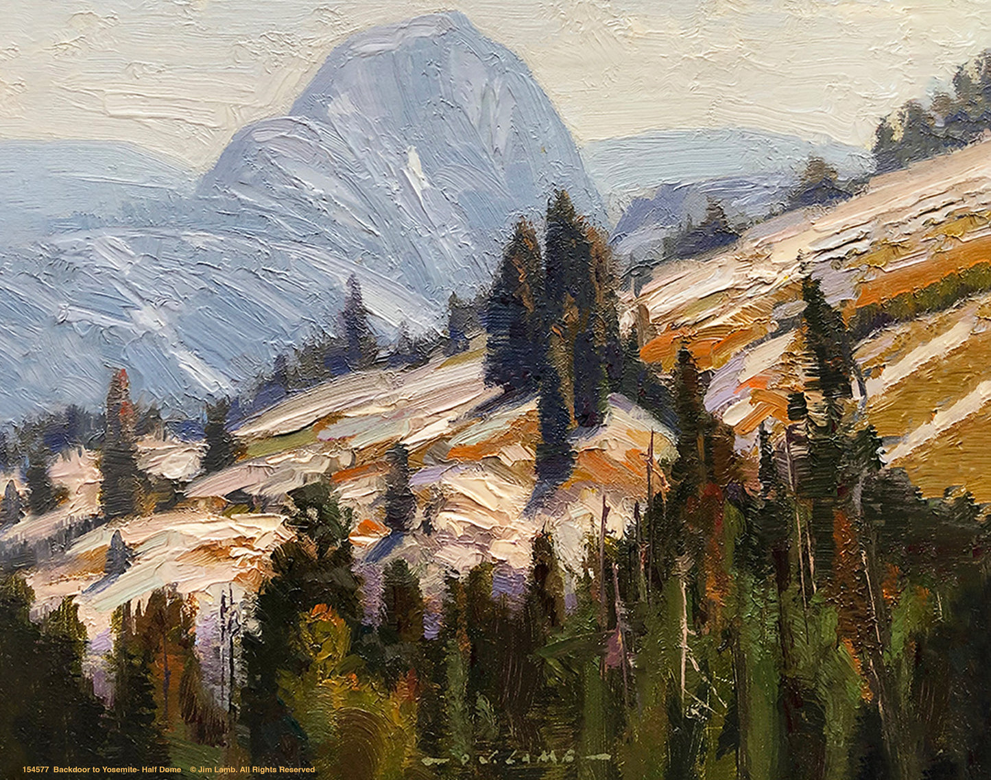 Backdoor to Yosemite - Half Dome - Art Prints