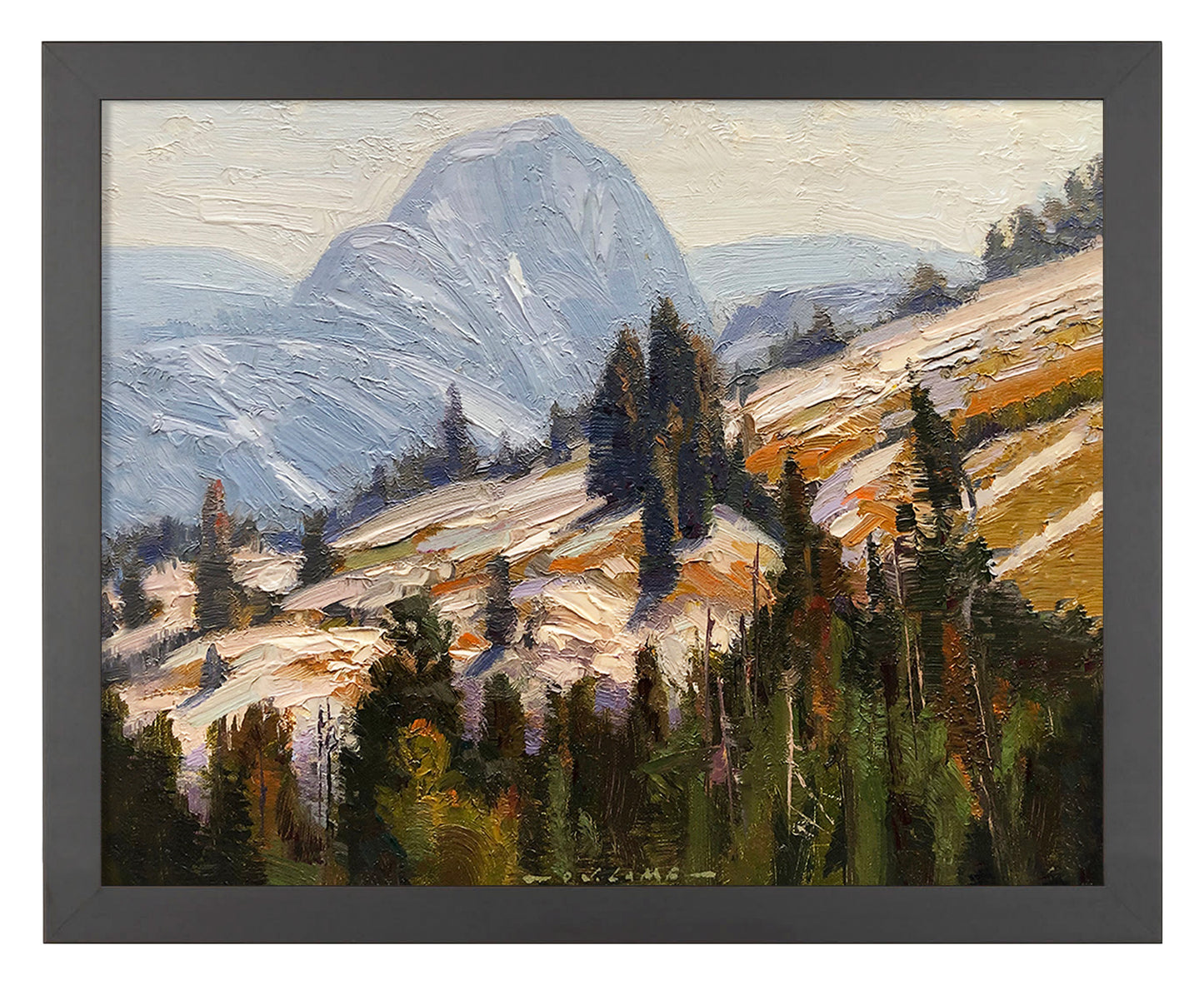 Backdoor to Yosemite - Half Dome - Art Prints