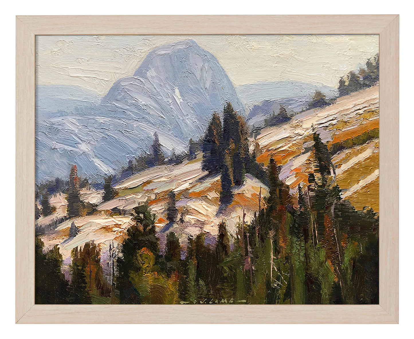 Backdoor to Yosemite - Half Dome - Art Prints