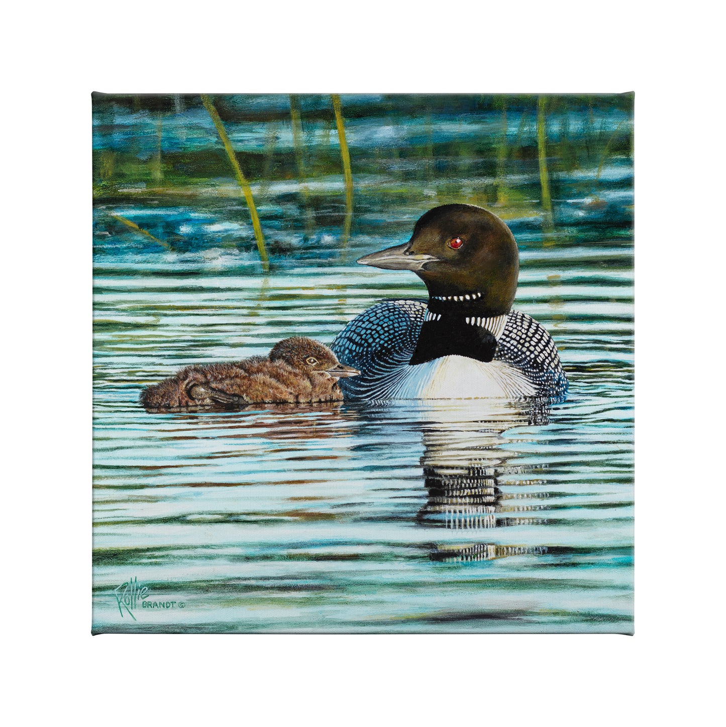 Swimming Lessons - 14" x 14" Gallery Wrapped Canvas