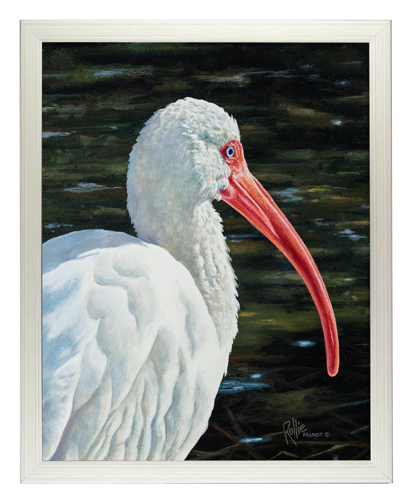 Ibis Be Going - Art Prints